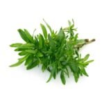 Thyme - Image 2