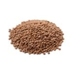 Brown Lentils